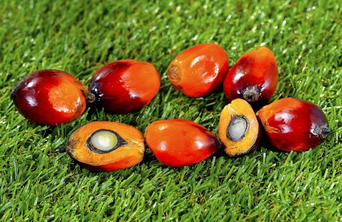 Sustainable Palm Oil Products