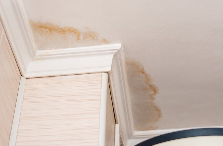Health Effects Of Water Damage Exposure And Restoration